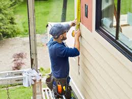 Best Siding Repair  in Platte, SD